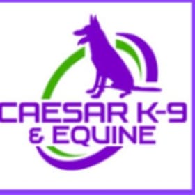 Travel Ready K-9 Gift Basket item