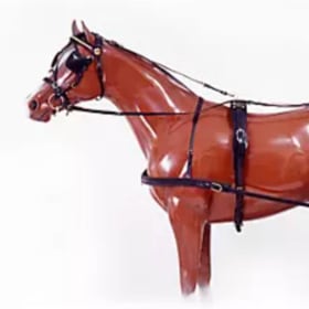 Complete Black Leather Horse Harness item