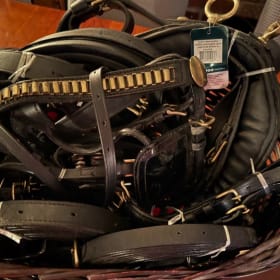 Complete Black Leather Horse Harness item