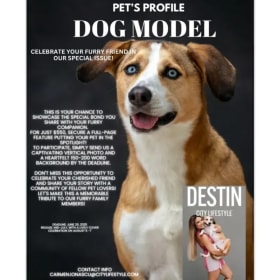 Pet Model Feature Voucher item