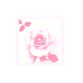 Carte de souhait vintage "Explosion de roses" (061) item