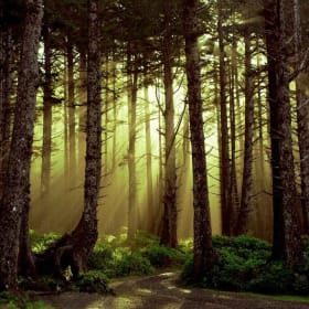 3-Night Getaway to Oregon! Valid at multiple locations! item