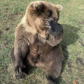 78. Wildlife Adventure #2 item