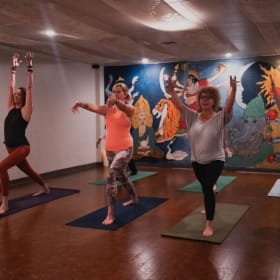 69. Yoga Journey: Unlimited Access for a Month item