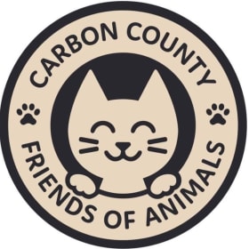 Cat or Kitten Adoption item