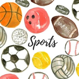 (2) Handball with Mr. Frank item