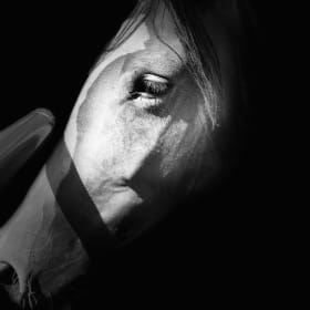 Photo with Matte item