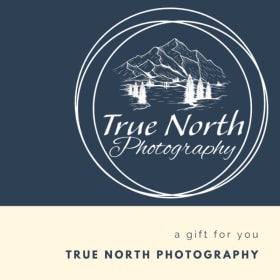 Portrait Session item