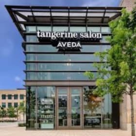 Pamper Yourself at Tangerine Salon 💇♀️ item