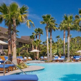 San Diego Sunshine- Yes escape the gloomy seattle weather! item