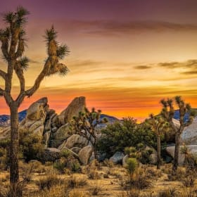 2 Nights in Palm Springs! item