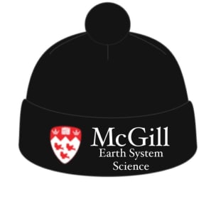 SP15 PomPom Toque item