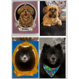 Fur-Ever Art: Your Pet on Canvas item