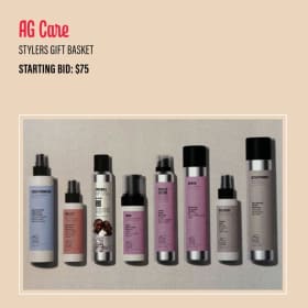 AG Care - Styler’s Gift Basket item
