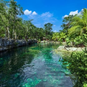 Tropical Oases or Arctic Sanctuaries item