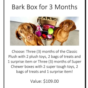 Bark Box for 3 Months item