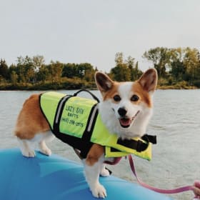 35. Raft, Relax, Repeat: Your Perfect Day on the Water! item