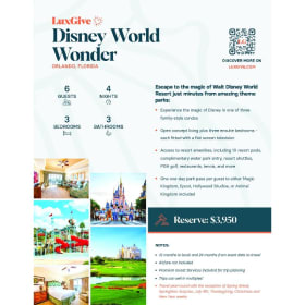 LuxGive Disney World Wonder Orlando, Florida item