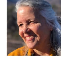 1. 5 hours of Professional Guidance and Mentorship item