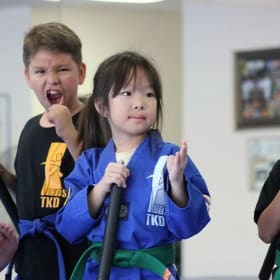 One Month of Classes at Lee's Tae Kwon Do (8 sessions) item