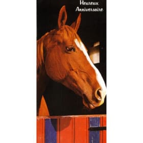 Carte de souhait vintage "Cheval" (065) item