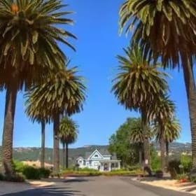 Vezer Family Vineyards item