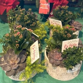 Succulent Bowl item
