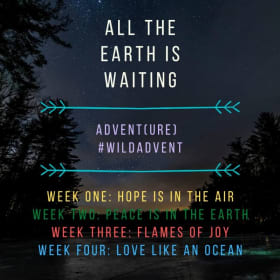 Advent(ure) Email Devotional item