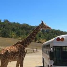 4 Tickets to Wildlife Safari – Winston, OR item