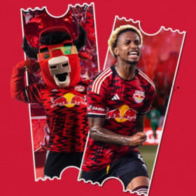 (2) Lower Level Ticket to a 2025 Red Bulls Home Match item