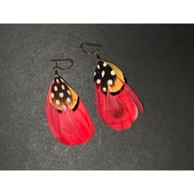 Earrings with feathers item