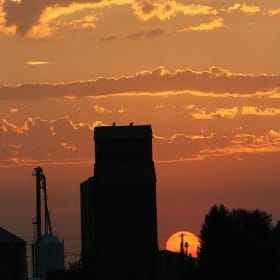 P&E Photo Contest Submission item