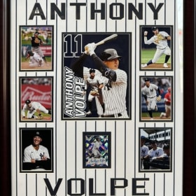 Anthony Volpe (New York Yankees) Framed Display item