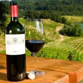 LONG ISLAND WINERY TOUR!! item