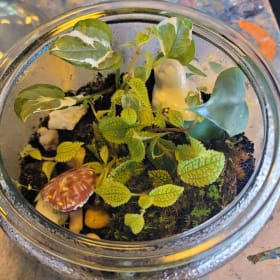 Large Glass Terrarium item