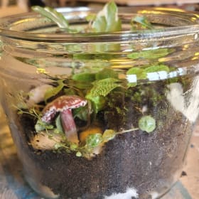 Large Glass Terrarium item