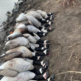 Abby Eklund Memorial Guided Hunt Fundraiser item