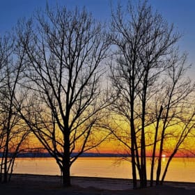 Spring Sentinels item