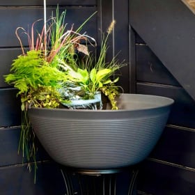 21. Aquagarden Mini Pond Experience item