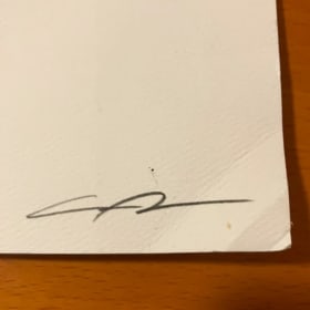 GUILLERMO DEL TORO PINOCCHIO POSTER 13X18 IN GOOD CONDITION item