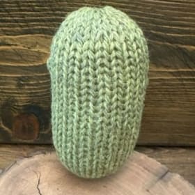 GR - Gerald the Pickle item