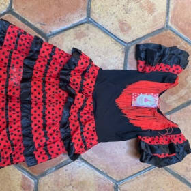 Girl's Size 6 Flamenco Dress from Spain item