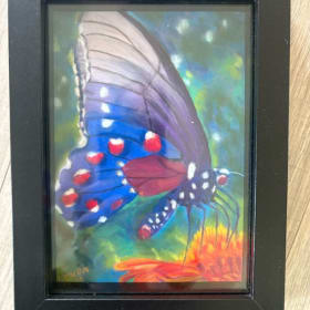 Butterfly Pastel item