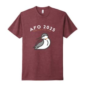 T-shirt (size small) item