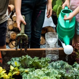 ITEM: Coast of Maine Organic Gardening Experience item