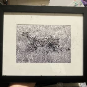 Framed Cheetah Photo item