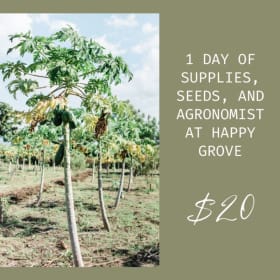 1 day of Supplies, Seeds, and Agronomist at Happy Grove item