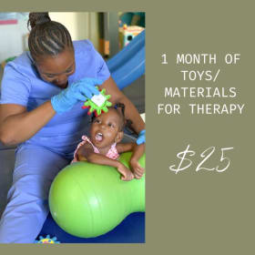 1 Month of Toys/Materials for Therapy item