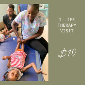 1 LIFE Therapy Visit item