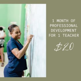 Professional Development for 1 Month for 1 Teacher item